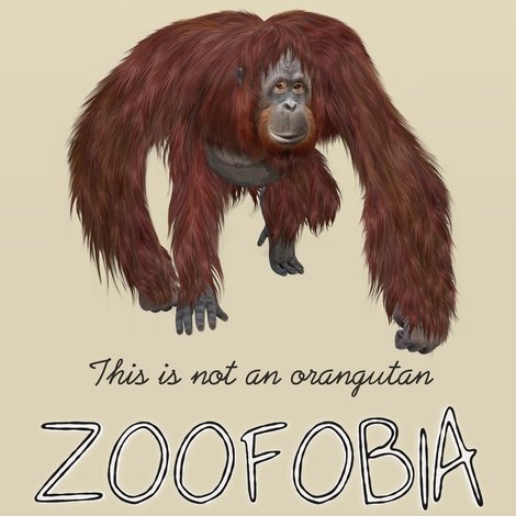 Zoofobia