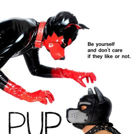 Pup