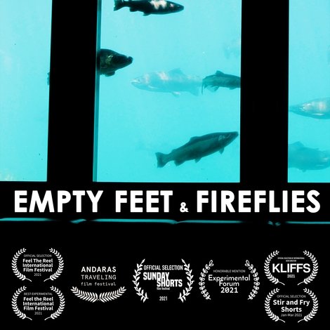 Empty Feet & Fireflies