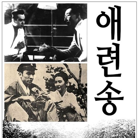 애련송
