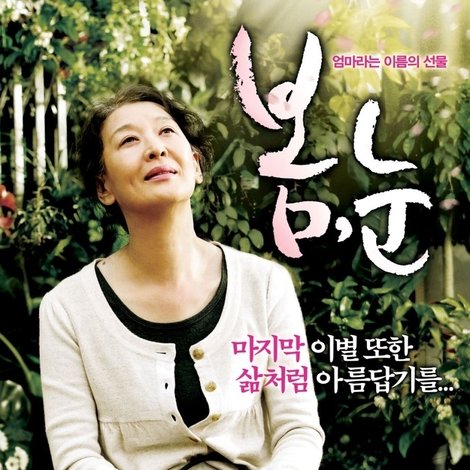 봄, 눈