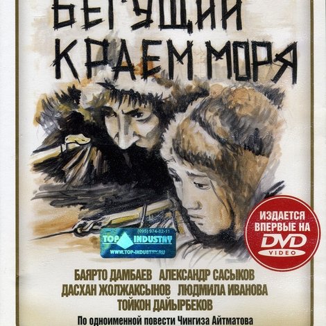Пегий пес, бегущий краем моря