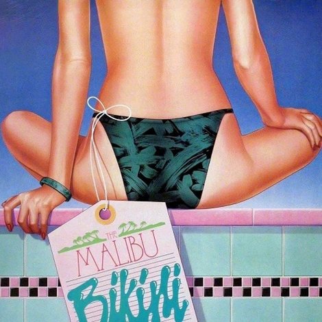 The Malibu Bikini Shop