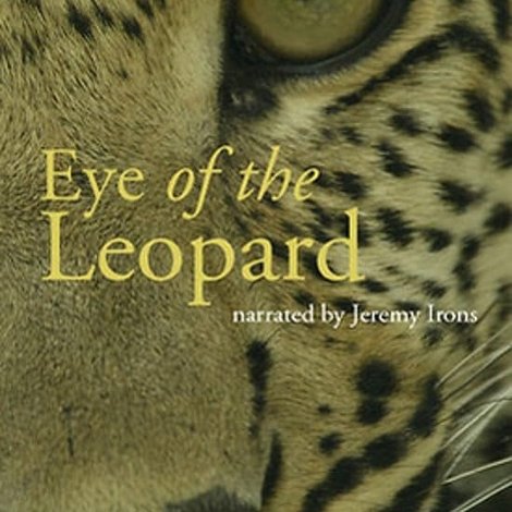 Eye of the Leopard: Revealed