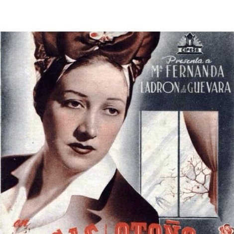 Rosas de otoño