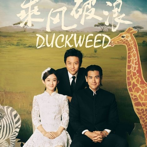 乘风破浪