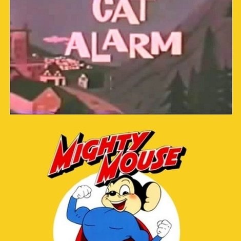 Cat Alarm