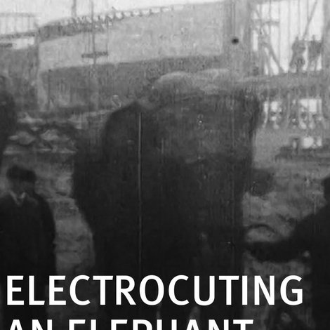 Electrocuting an Elephant