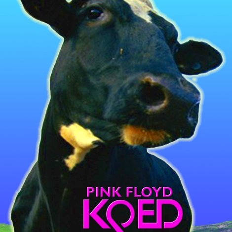 Pink Floyd – KQED