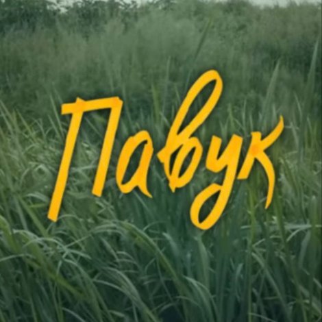 DZIDZIO: Павук