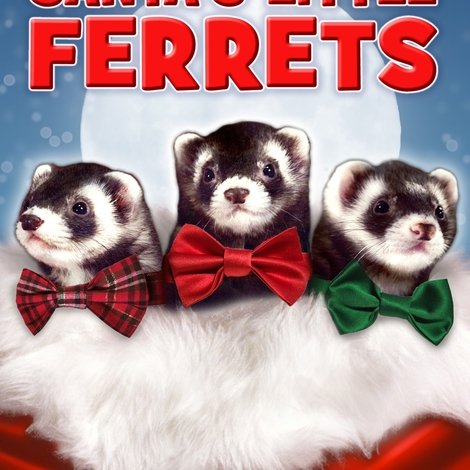 Santa's Little Ferrets