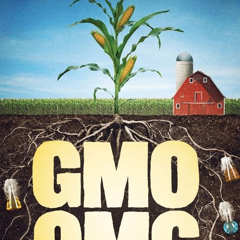 GMO OMG