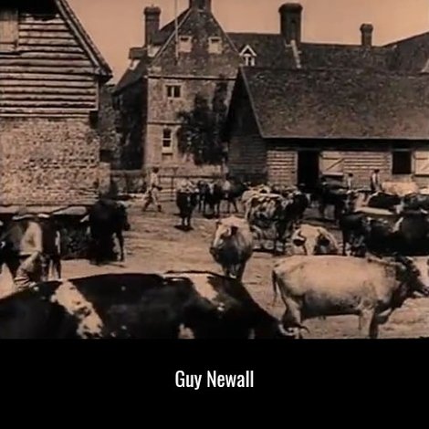 Fox Farm