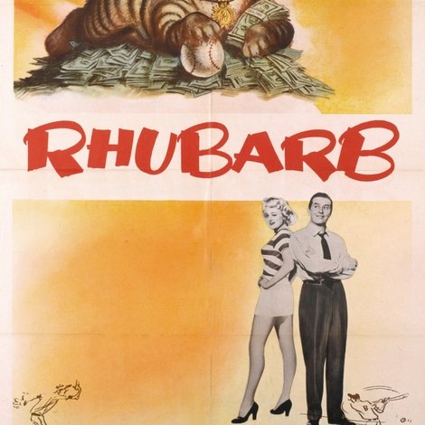 Rhubarb