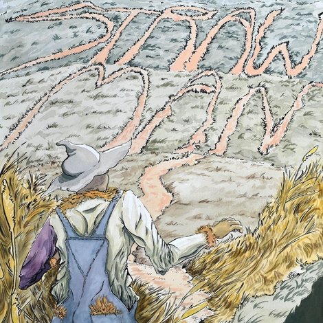 Straw Man