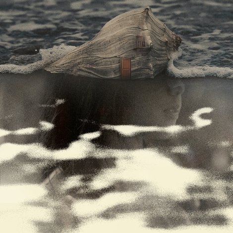 A Crab From A Conch Shell