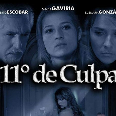 11 Grados de culpa