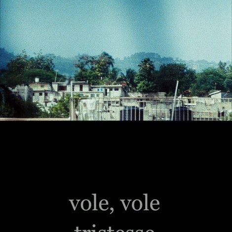 Vole, vole tristesse