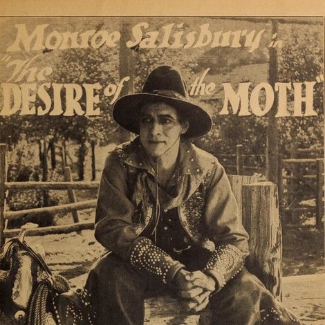 The Desire of the Moth
