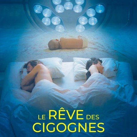 Le rêve des cigognes