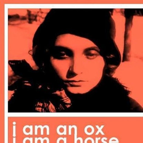 I Am an Ox, I Am a Horse, I Am a Man, I Am a Woman