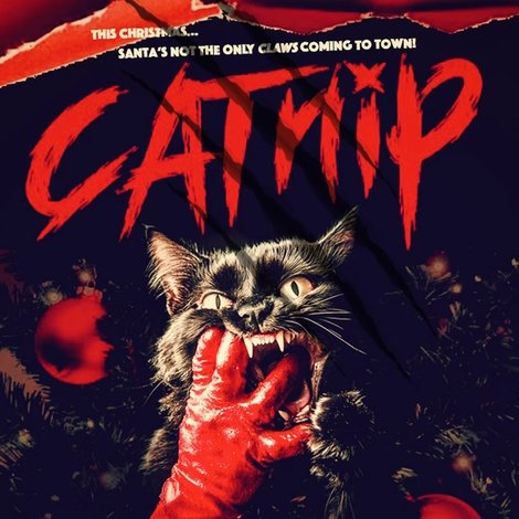 CATnip