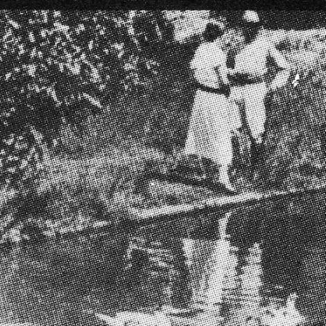 La trepadora
