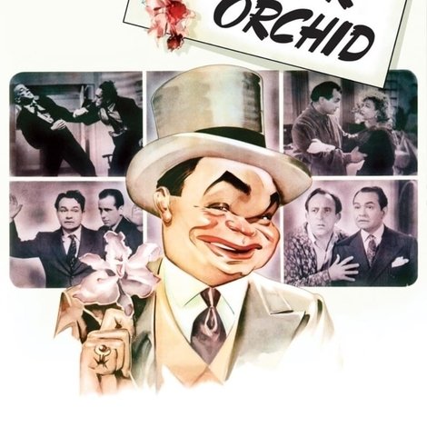 Brother Orchid