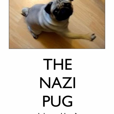 The Nazi Pug: Joke or Hate?