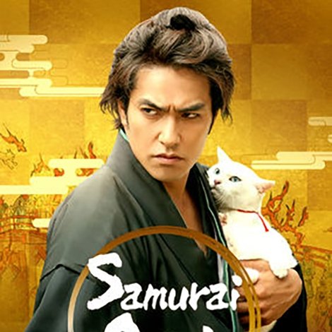 猫侍