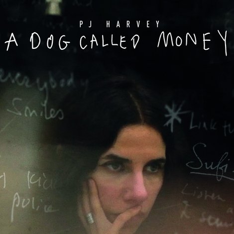 A Dog Called Money