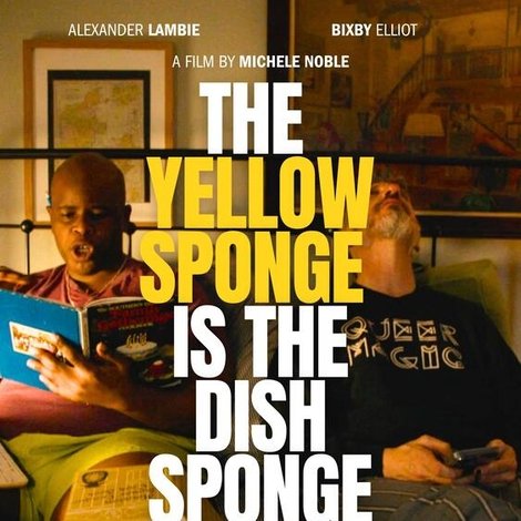 The Yellow Sponge is the Dish Sponge