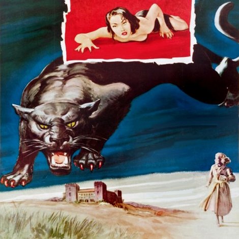 Cat Girl