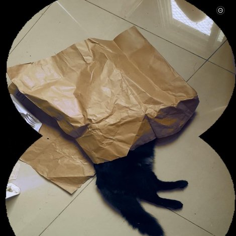 Dublê de Lixo