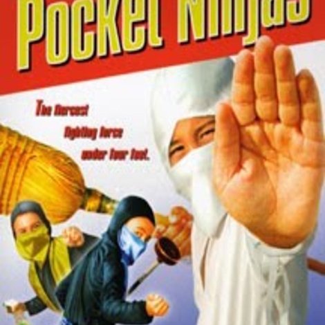 Pocket Ninjas