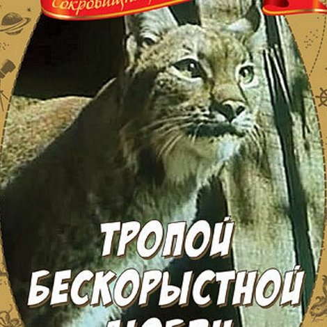 Тропой бескорыстной любви