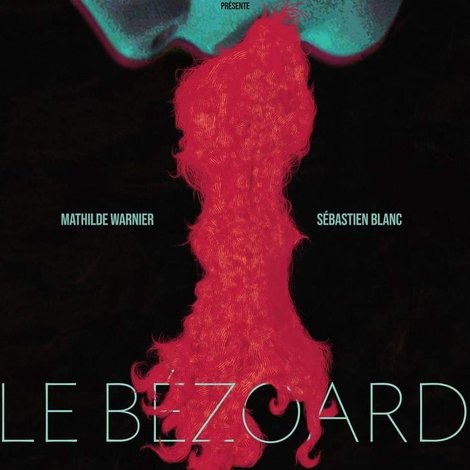 Le Bézoard