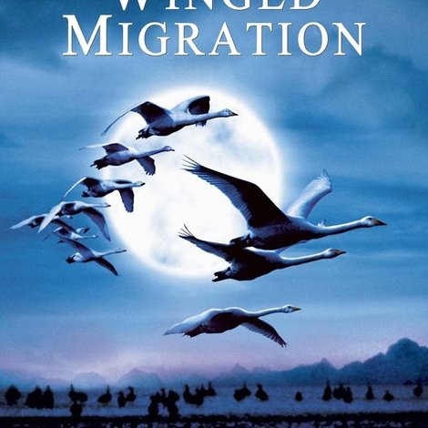 Le peuple migrateur