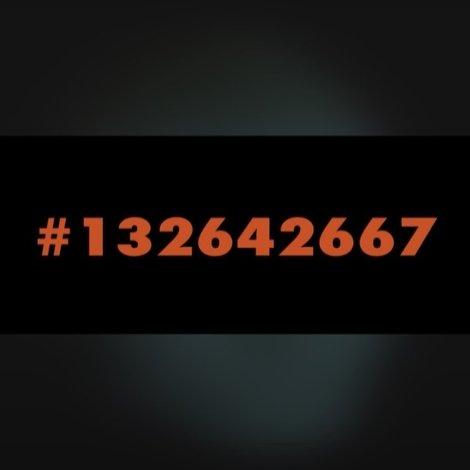#132642667