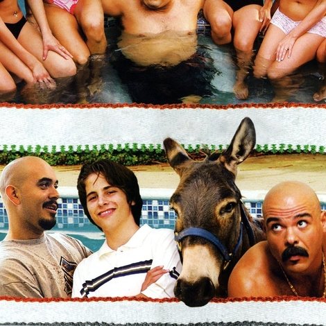 Party Animalz