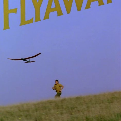 Flyaway