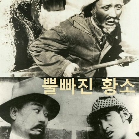 뿔빠진 황소