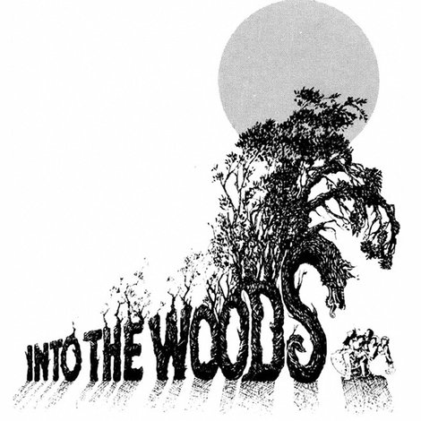 Into the Woods: A Conversationpiece