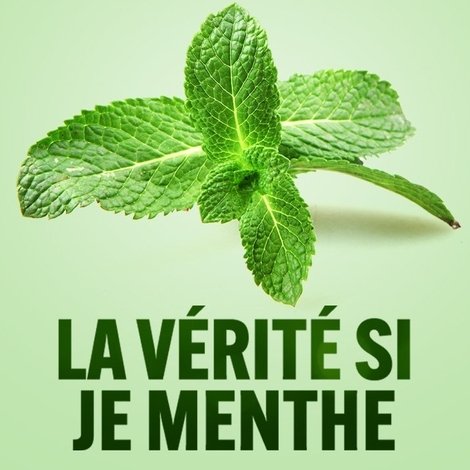 La vérité si je menthe