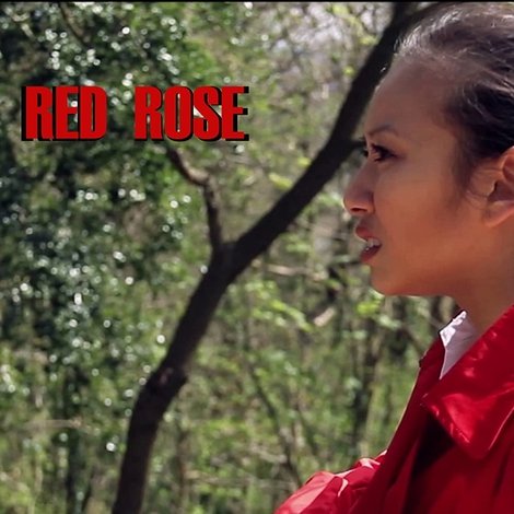 Red Rose