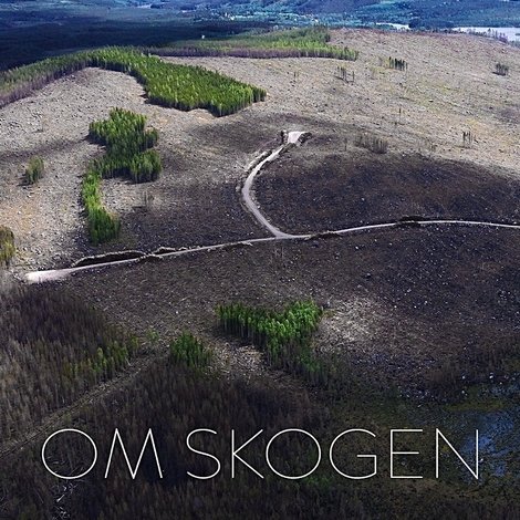 Om skogen