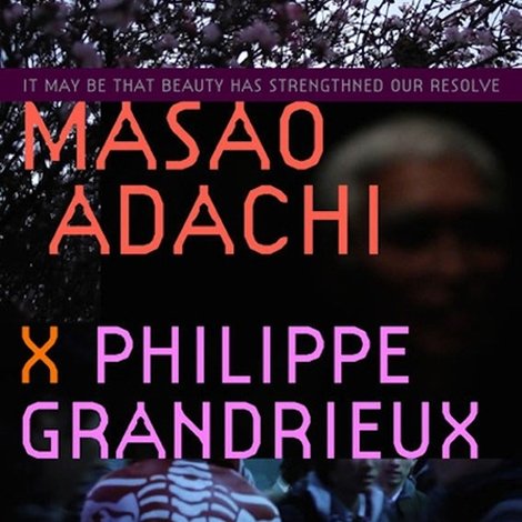 Il se peut que la beauté ait renforcé notre résolution - Masao Adachi