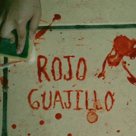 Rojo Guajillo