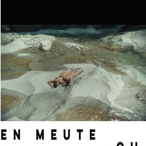 En meute ou solitaire