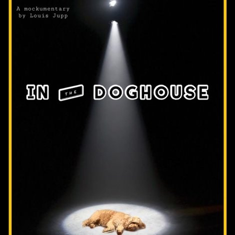 In The Doghouse